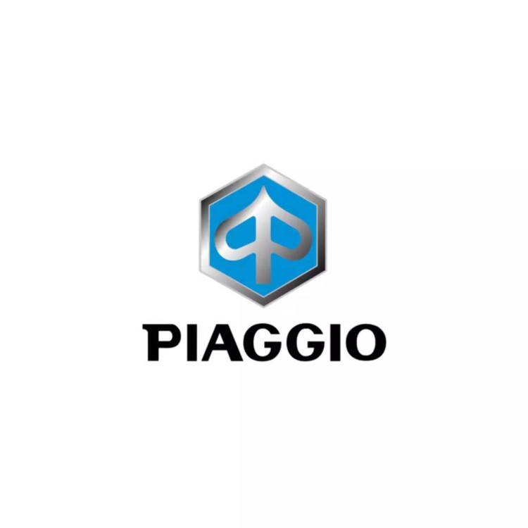 B010095 | RULLINO | PIAGGIO RICAMBI ORIGINALI