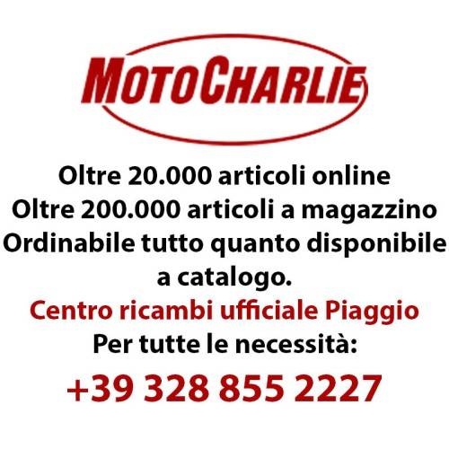 600734 | PINZA FRENO | PIAGGIO RICAMBI ORIGINALI