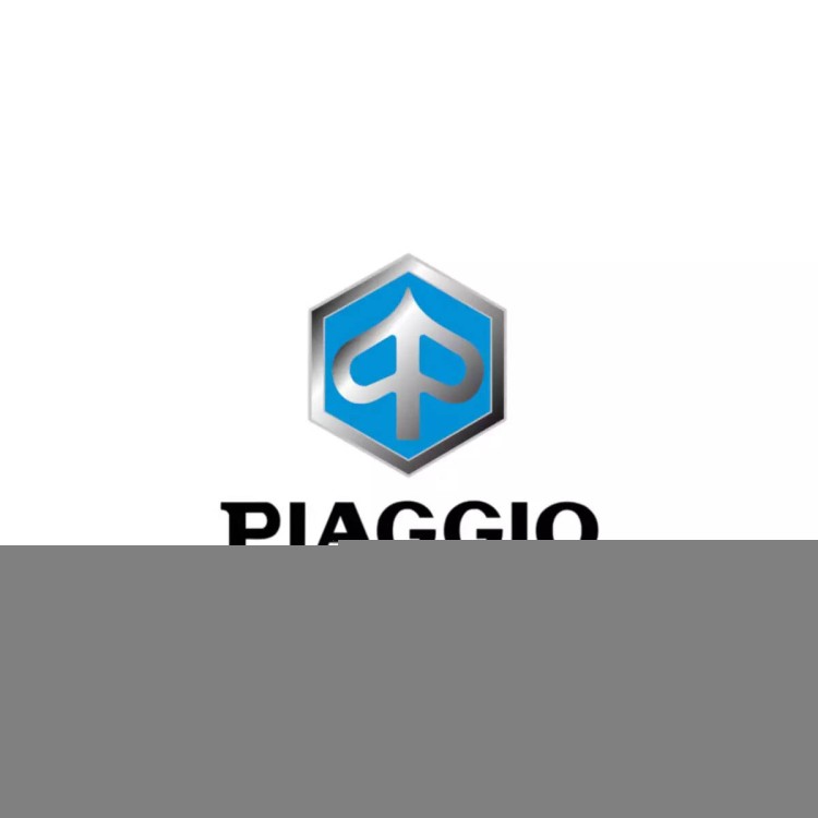 133516 | PERNO | PIAGGIO RICAMBI ORIGINALI