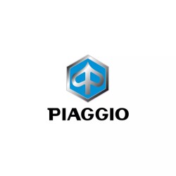872877 | MOLLA VARIATORE | PIAGGIO RICAMBI ORIGINALI