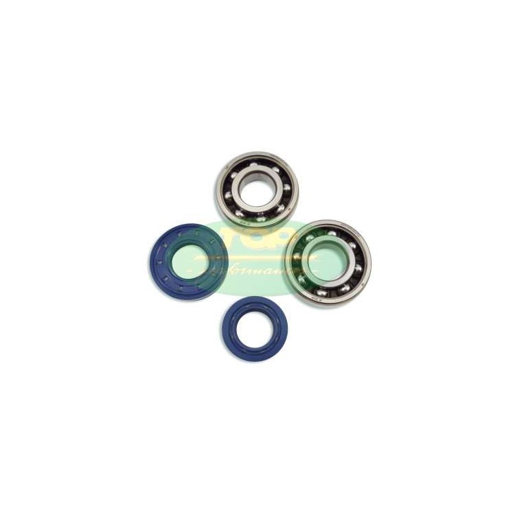MOTORPARTS KIT CUSCIN.(SKF)E PARAOLI BANCO M/Y50CC. | KK01002