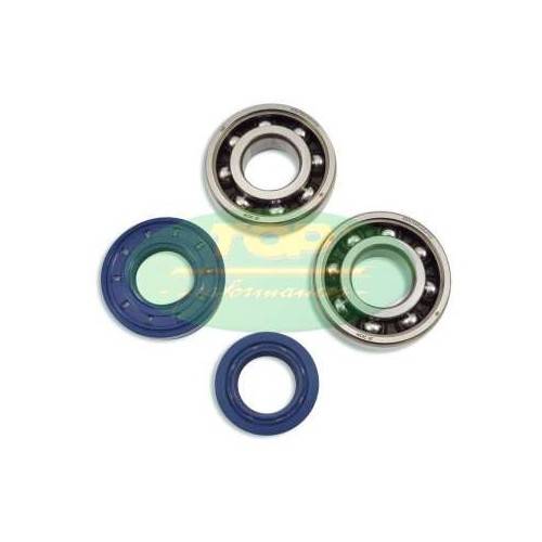 MOTORPARTS KIT CUSCIN.(SKF)E PARAOLI BANCO M/Y50CC. | KK01002