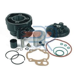MOTORPARTS GRUPPO TERMICO D.49 PER AM/6 E "EU1" VERS.2002 | KT00114