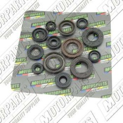 MOTORPARTS SERIE PARAOLIO MOTORE / OIL SEALS SET | MINSRA0022