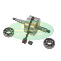 MOTORPARTS ALBERO MOTORE TPR CORSA 39MM. PER AM6 | 9921720