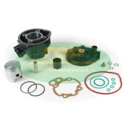 MOTORPARTS GRUPPOTERMICO D.49 PER AM/6 E "EU1" VERS.2002 | 9919250