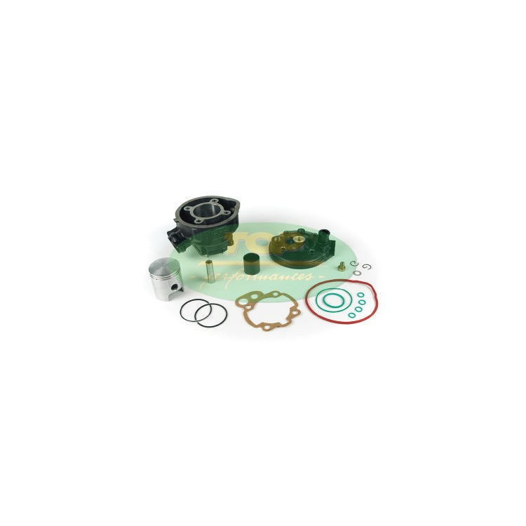 MOTORPARTS GRUPPOTERMICO D.49 PER AM/6 E "EU1" VERS.2002 | 9919250