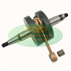 MOTORPARTS ALBERO MOTORE DERBI CON MOTORE PIAGGIO (D50B0) | IM07066