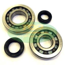 MOTORPARTS KIT CUSC/PARAOLI BANCO KYMCO 50 2T | KK01013