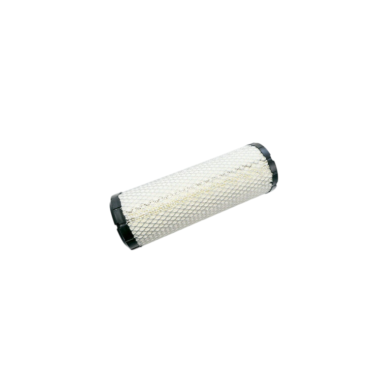 B005660 | ELEMENTO FILTRANTE PRINCIPALE | PIAGGIO RICAMBI ORIGINALI