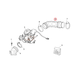 845995 | MANICOTTO DEPURATORE-CARBURATORE | PIAGGIO RICAMBI ORIGINALI