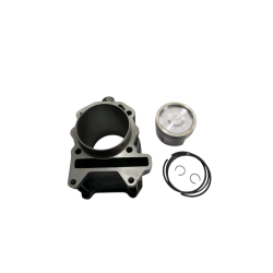 843517 | GR.CILINDRO-PISTONE-SPIN-SEGM-ANELLI | PIAGGIO RICAMBI ORIGINALI