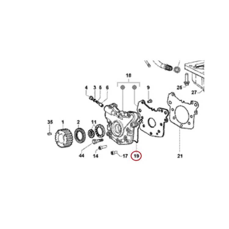 493406 | O.RING  | PIAGGIO RICAMBI ORIGINALI