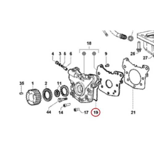 493406 | O.RING  | PIAGGIO RICAMBI ORIGINALI
