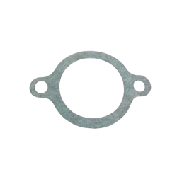 493115 | GUARNIZIONE | PIAGGIO RICAMBI ORIGINALI