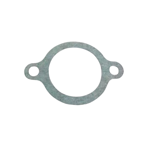 493115 | GUARNIZIONE | PIAGGIO RICAMBI ORIGINALI