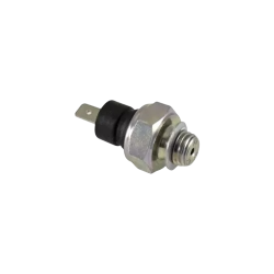 287887 | INTERRUT.SEGN.PRESS.OL | PIAGGIO RICAMBI ORIGINALI