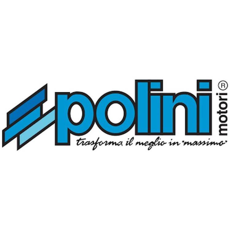 POLINI MARMITTA SI-ECO-BOSS mod. COUNTRY | 200.0046
