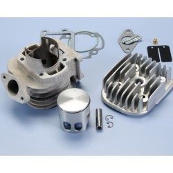 POLINI KIT YAMAHA BWS-MBK BOOSTER-APRILIASR 93 IN ALL.D.47 | 166.0079