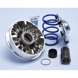 POLINI VARIATORE HI-SPEED HONDA SH 350 12RULLI | 241.758