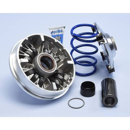 POLINI VARIATORE HI-SPEED HONDA SH 350 12RULLI | 241.758