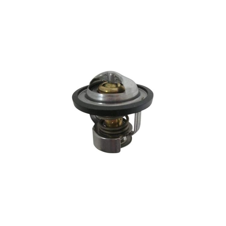 1A005593 | TERMOSTATO | PIAGGIO RICAMBI ORIGINALI