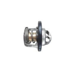 1A005593 | TERMOSTATO | PIAGGIO RICAMBI ORIGINALI