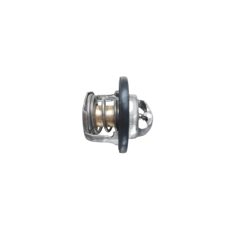 1A005593 | TERMOSTATO | PIAGGIO RICAMBI ORIGINALI