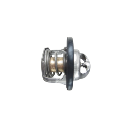 1A005593 | TERMOSTATO | PIAGGIO RICAMBI ORIGINALI