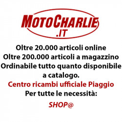 RETROVISORE DUCATI VIPER AERO – PANIGALE 1299 DAL 2015-959 DAL 2016 CODE: 7591 SX | FAR