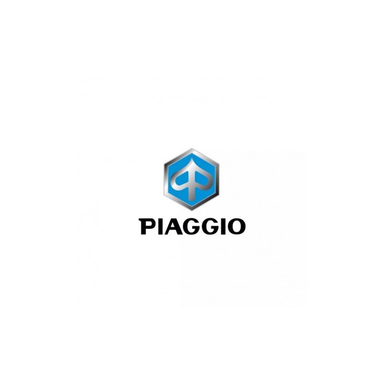 134105 | TRASMISSION** | PIAGGIO RICAMBI ORIGINALI