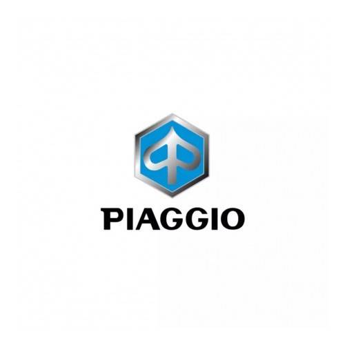 134105 | TRASMISSION** | PIAGGIO RICAMBI ORIGINALI