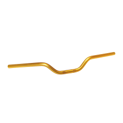 551203222 | MANUBRIO ERGAL ART.1203 COL. ORO | PBR