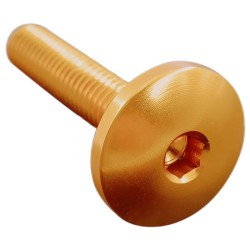 VITE TESTA BOMBATA ERG. CL 003 M5 L. 15 TESTA Ø14  ERGAL (7075 T6) | 003M5015ORO - ORO | LIGHTECH
