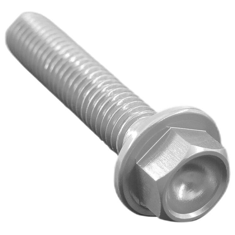 VITE TESTA ESAGONALE ERG. CL 004 M6 L. 55 | 004M6055SIL - SILVER | LIGHTECH