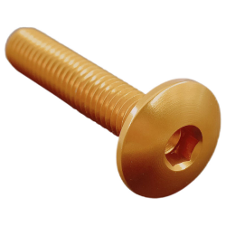 VITE TESTA BOMBATA ERG. CL 002 M6 L. 20 TESTA Ø14  ERGAL (7075 T6) | 002M6020ORO - ORO | LIGHTECH