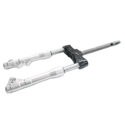 1C000190R | FORCELLA ANTERIORE COMPL. | PIAGGIO RICAMBI ORIGINALI