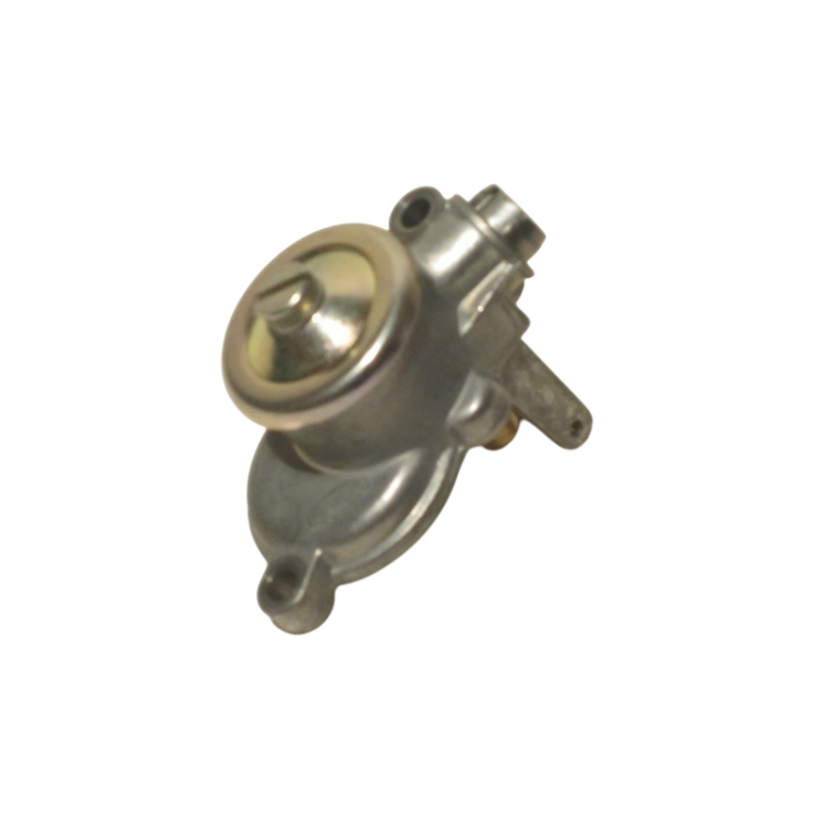 242275 | COPERCHIO VASCHETTA COMPLETO| PIAGGIO RICAMBI ORIGINALI