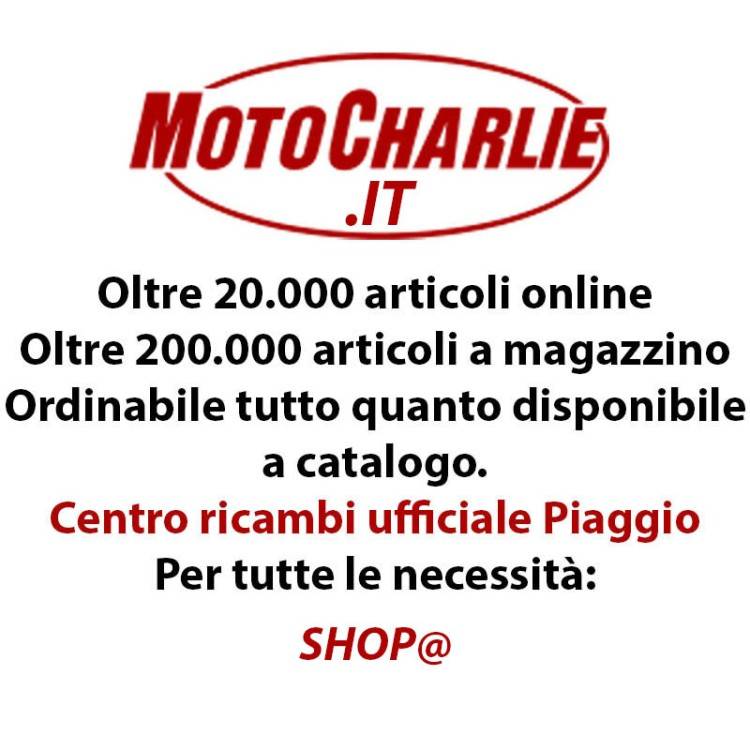 BF93 | FLANGIA KOVE 800X PRO (2024) | GIVI