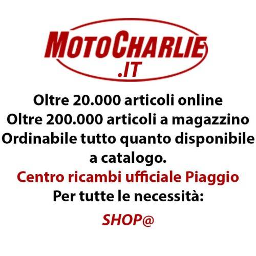 12RKIT | KIT TRASFORMAZIONE PORTAVALIGIE A RIMOZIONE RAPIDA TIGER 1200GT 743G | GIVI