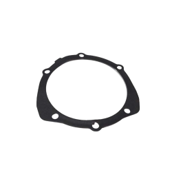 493984 GUARNIZIONE | PIAGGIO RICAMBI ORIGINALI