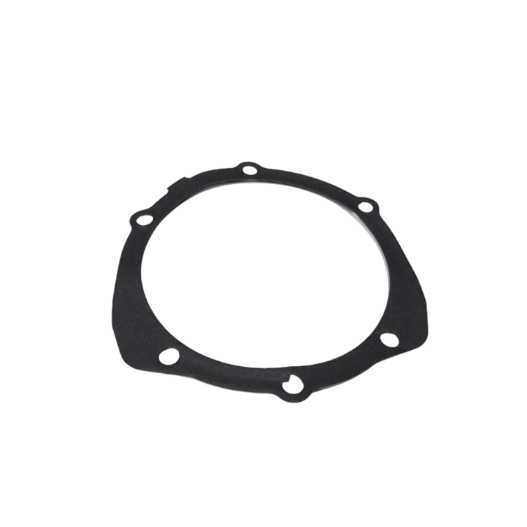 493984 GUARNIZIONE | PIAGGIO RICAMBI ORIGINALI