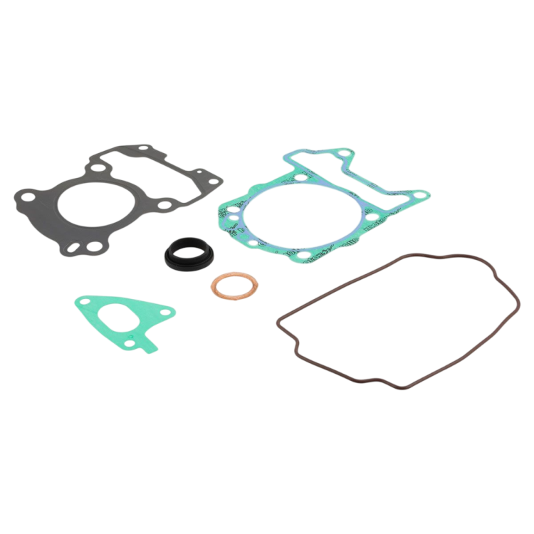 1R000309 KIT GUARNIZIONI REV. GRUPPO TERMICO | PIAGGIO RICAMBI ORIGINALI
