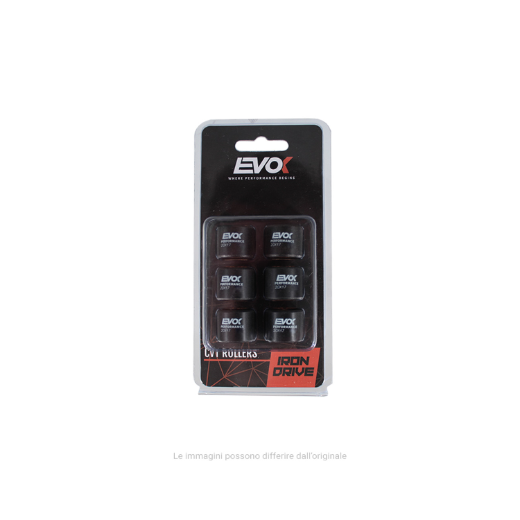 100480107 KIT RULLI EVOK IRON DRIVE 20X17MM 11GR | RMS