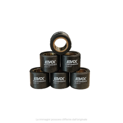 100480106 KIT RULLI EVOK IRON DRIVE 20X17MM 10GR | RMS