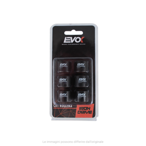 100480106 KIT RULLI EVOK IRON DRIVE 20X17MM 10GR | RMS