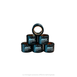 100480101 KIT RULLI EVOK IRON DRIVE 20X15MM 16.5GR | RMS