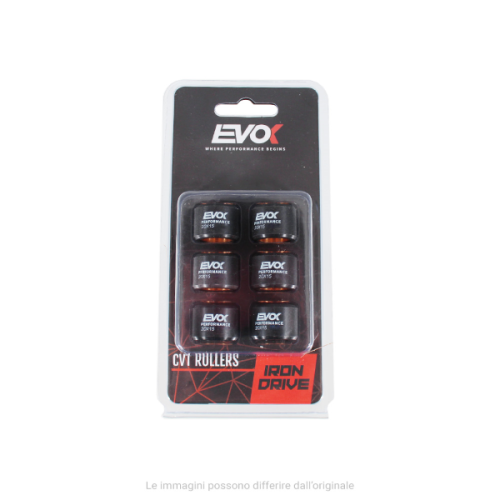 100480097 KIT RULLI EVOK IRON DRIVE 20X15MM 12.5GR | RMS