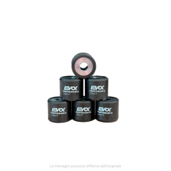 100480078 KIT RULLI EVOK IRON DRIVE 19X17MM 12GR | RMS
