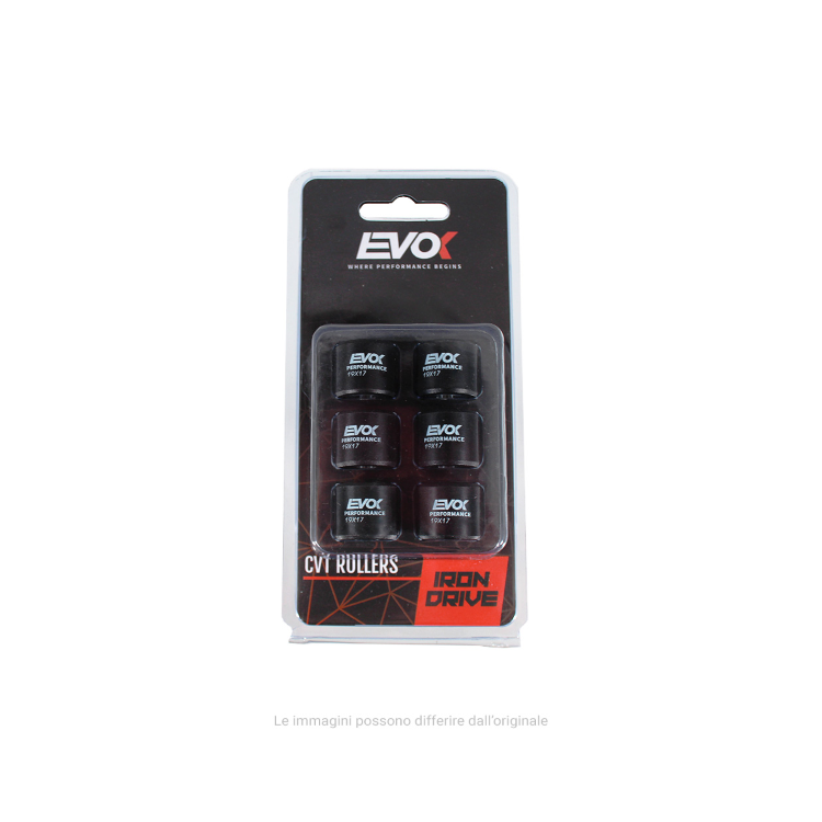 100480078 KIT RULLI EVOK IRON DRIVE 19X17MM 12GR | RMS
